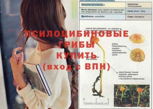 трава Балахна