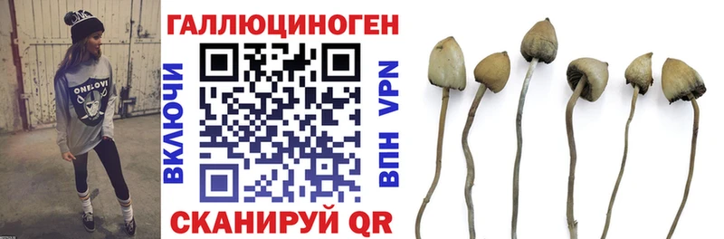 Псилоцибиновые грибы мухоморы  магазин    Лесной 